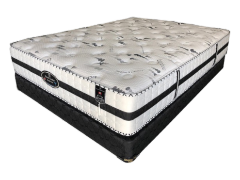 Dream Catcher – 13″ Hybrid Tight Top Mattress